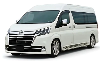 12 passenger van or car