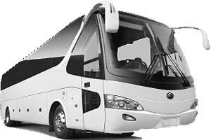 55 Passenger Charter Bus Seating Chart