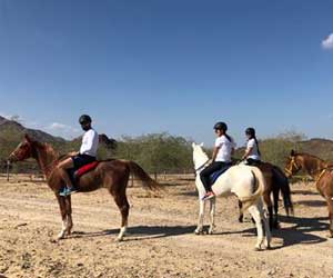 Horse riding at Hatta