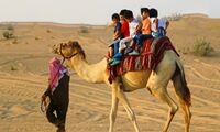 desert safari Dubai