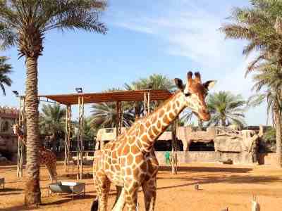Emirate Park and Zoo Abu Dhabi