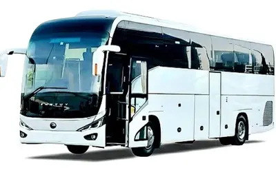 50 Seater